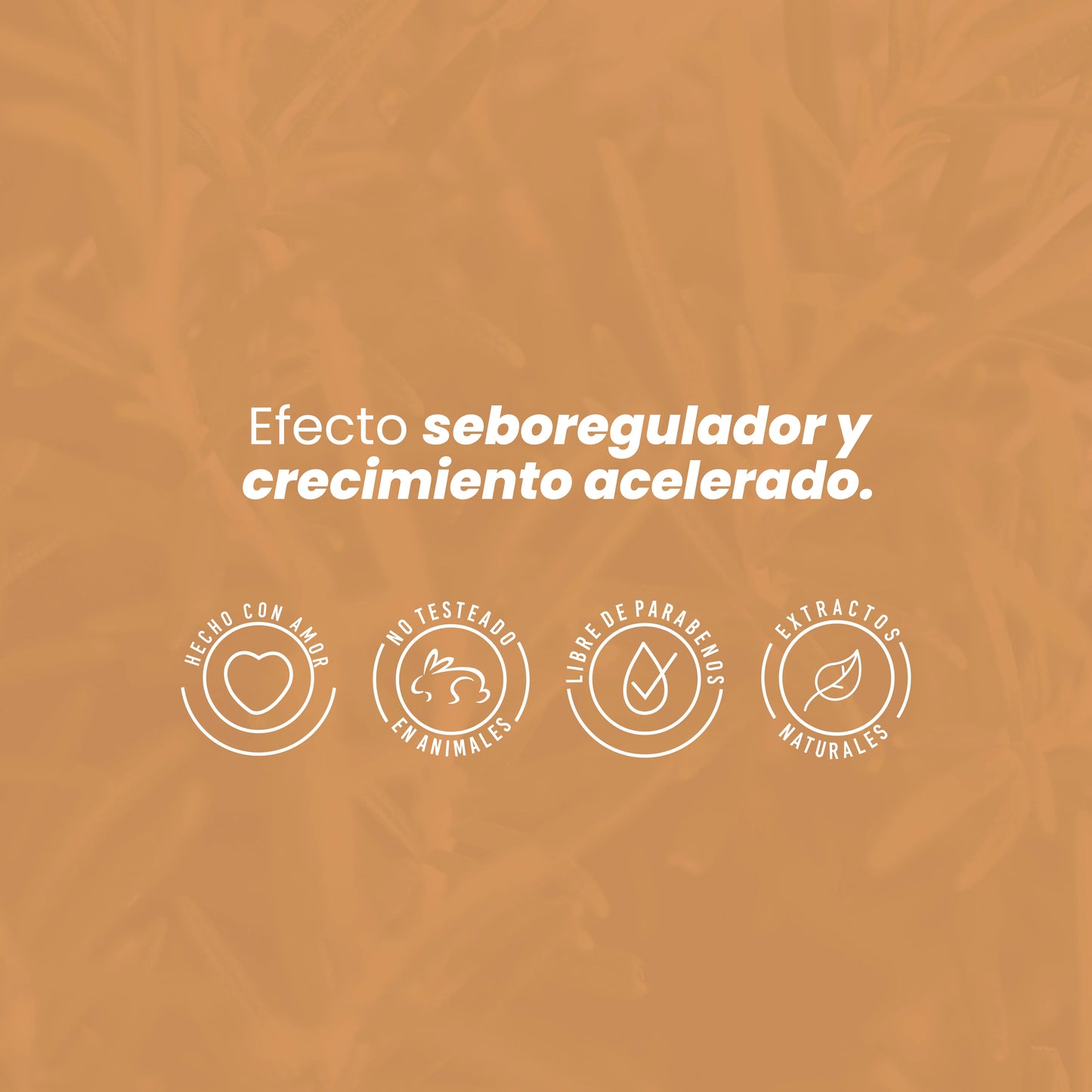 POTENCIALIZADOR DE ROMERO ANYELUZ 110 mL