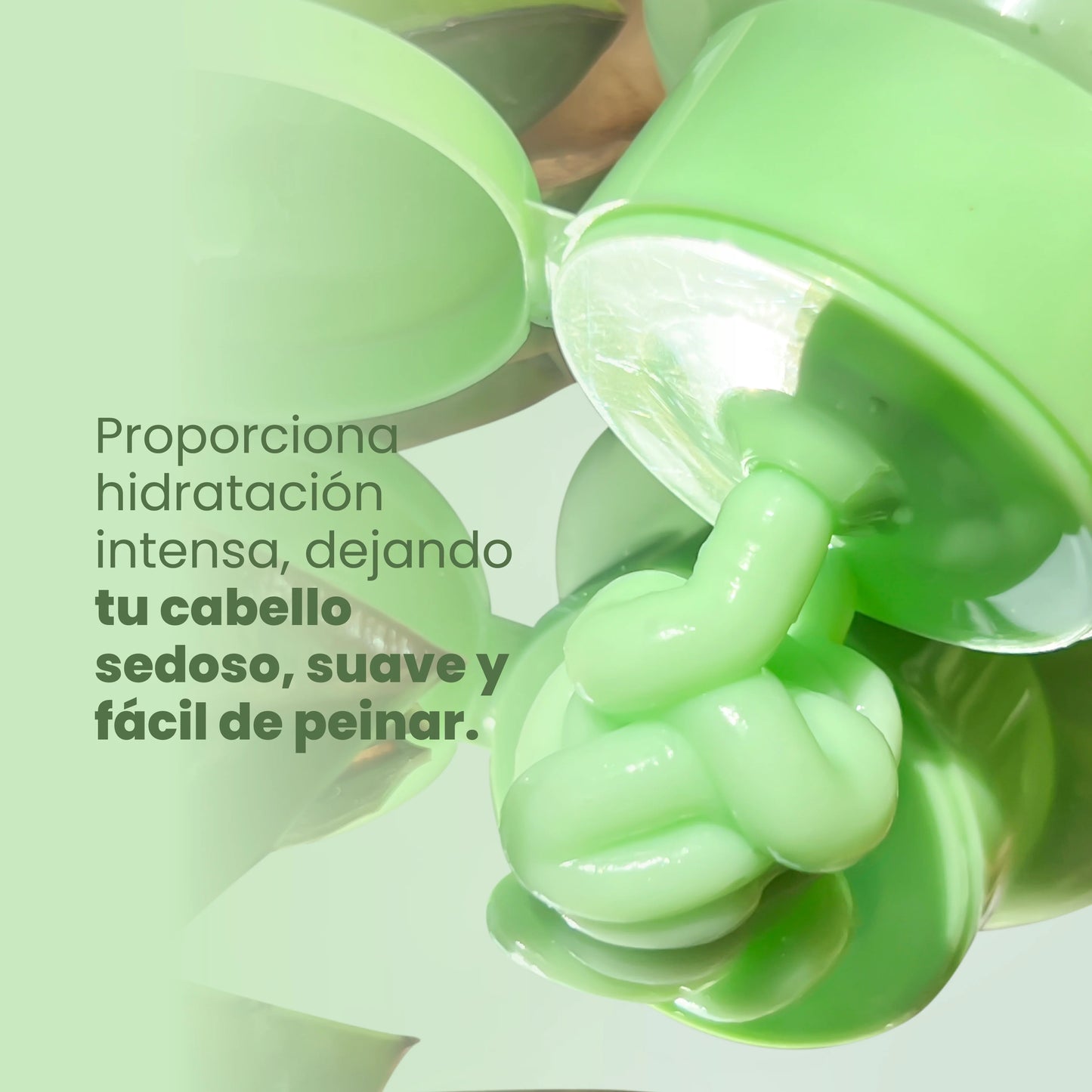 ACONDICIONADOR ALOE VERA Y DE ARGÁN  ANYELUZ