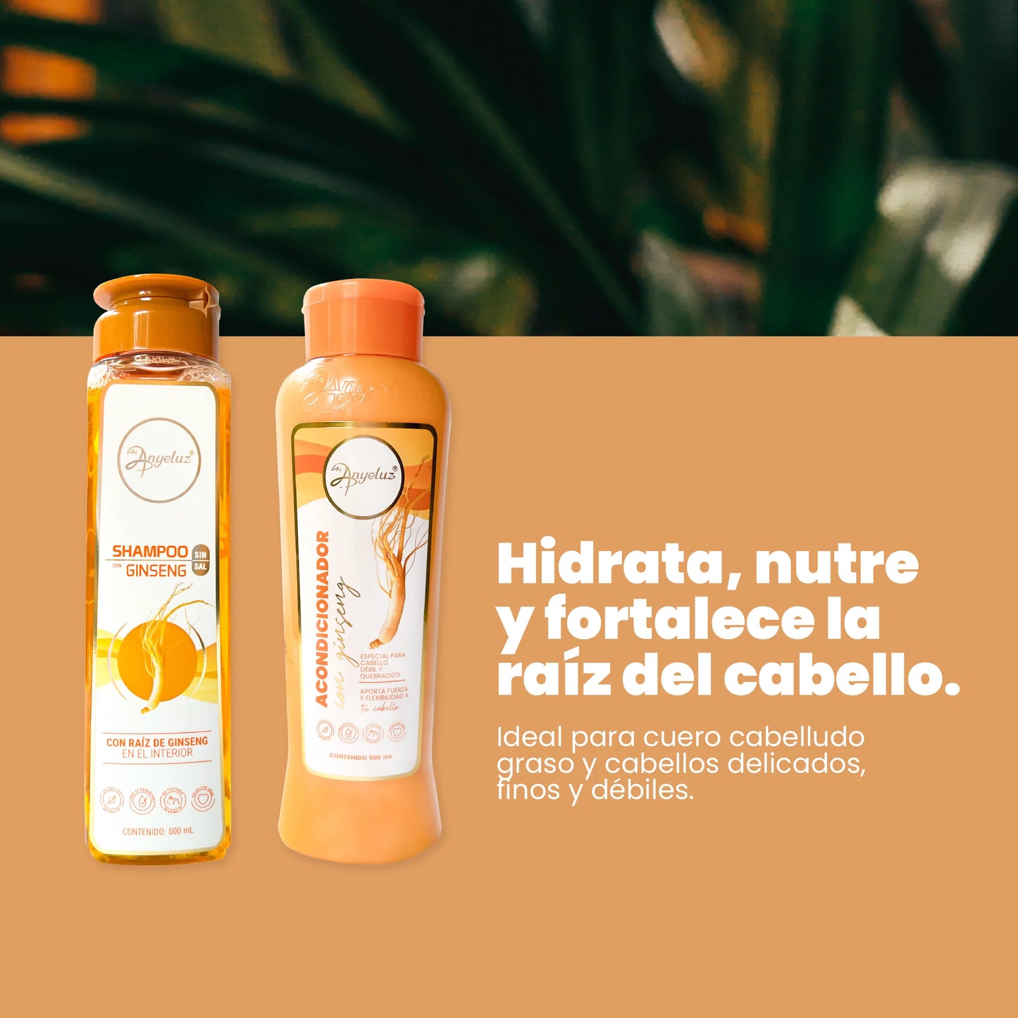 KIT DUO GINSENG ANYELUZ