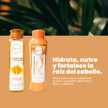 KIT DUO GINSENG ANYELUZ
