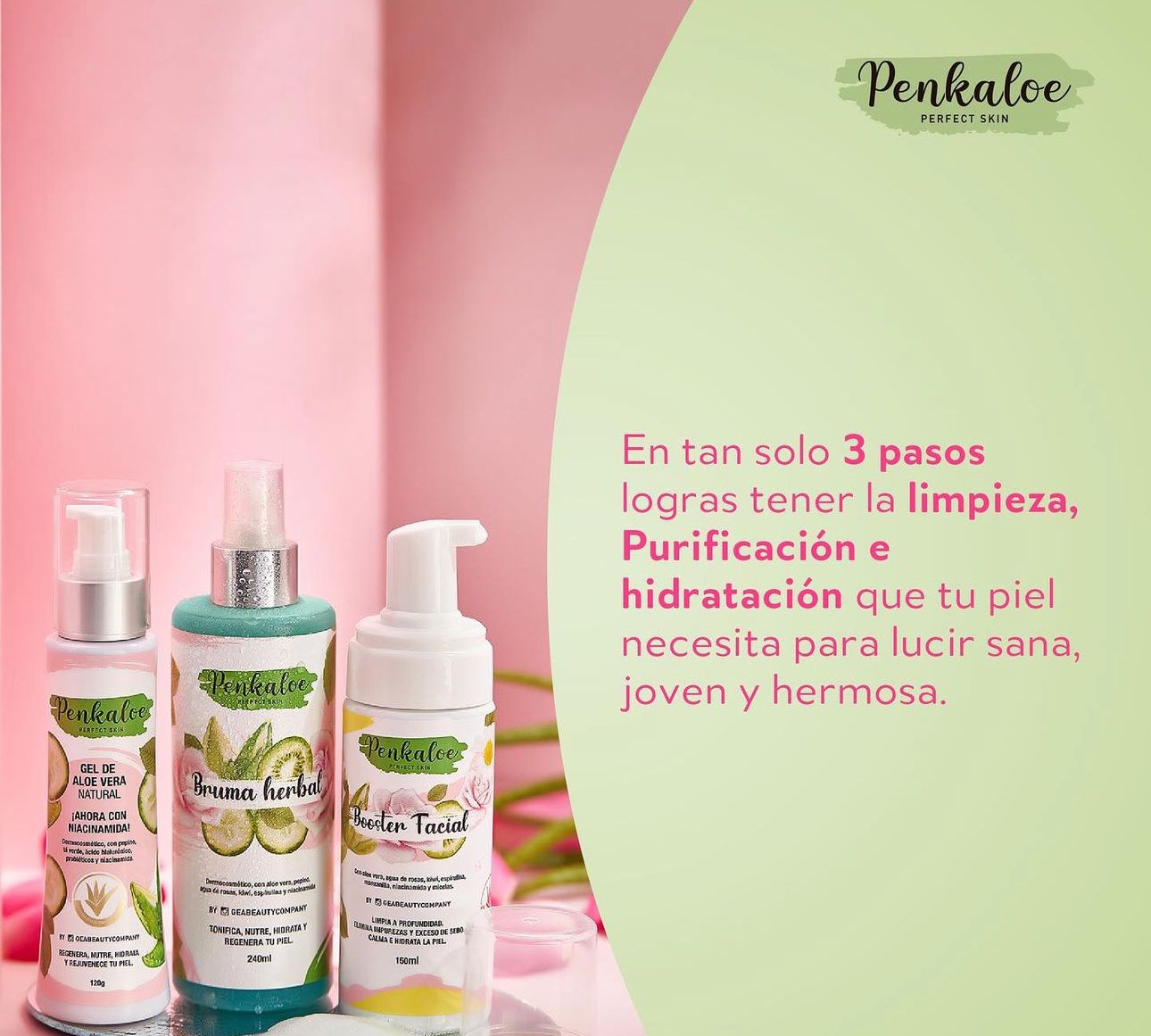 KIT PERFECT SKIN PENKALOE (BOOSTER FACIAL + GEL ALOE VERA + BRUMA HERBAL)